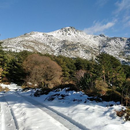 Complejo Turistico Las Canadas Casas De Campo- Actividades Gratuitas Todos Los Fines De Semana Banos De Montemayor Dış mekan fotoğraf