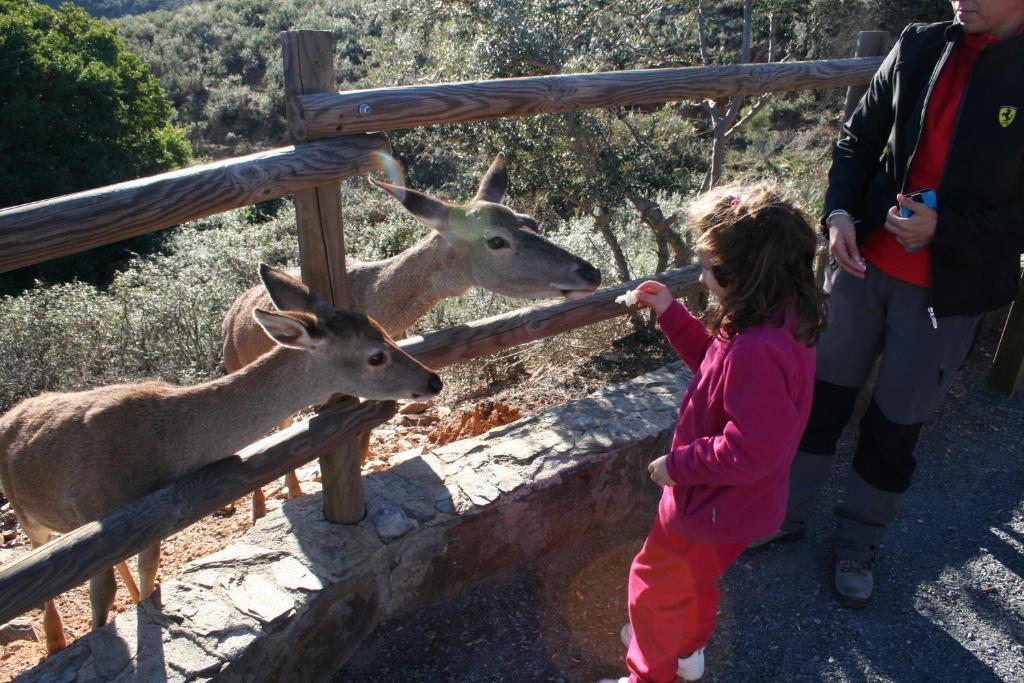 Complejo Turistico Las Canadas Casas De Campo- Actividades Gratuitas Todos Los Fines De Semana Banos De Montemayor Dış mekan fotoğraf